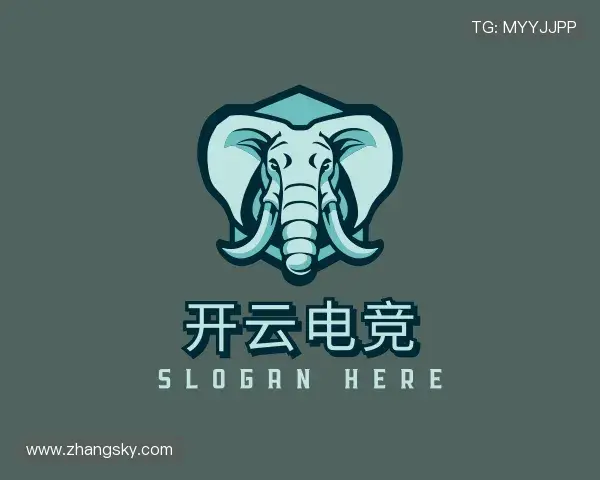 介绍开云电竞